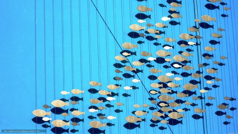 hanging fish art installation