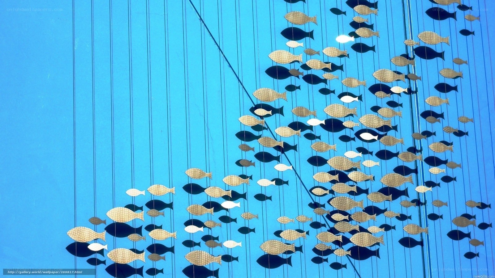 hanging fish art installation
