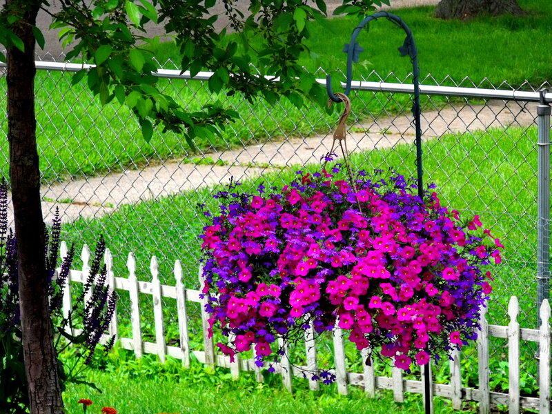 Hanging Flower Basket — Pink, Calm