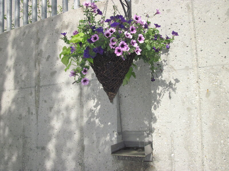 Hanging Flower Basket — Purple, Calm