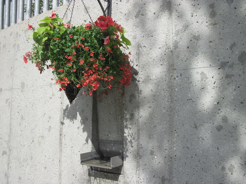Hanging Flower Basket — Red, Calm, Afternoon
