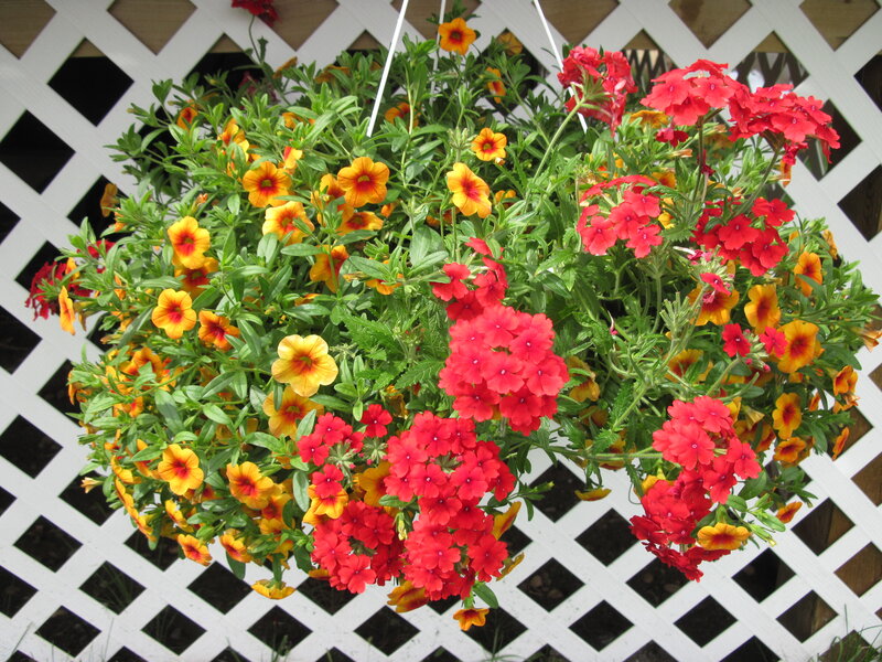 Hanging Flower Basket — Red