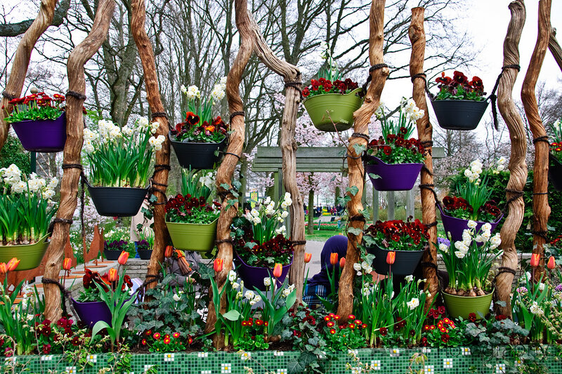 Hanging Flower Baskets — Green