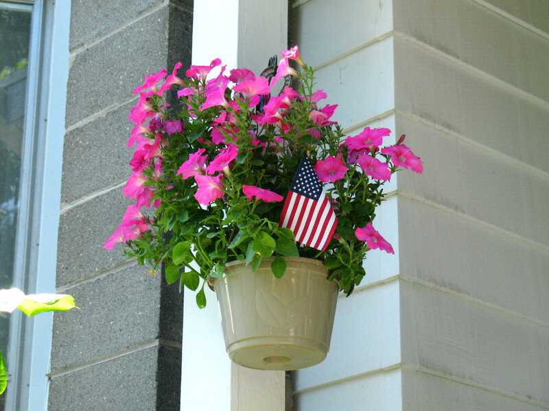 Hanging Flower Pot — Pink