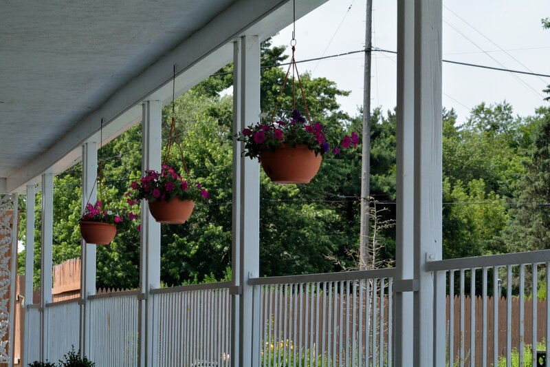 Hanging Flower Pots