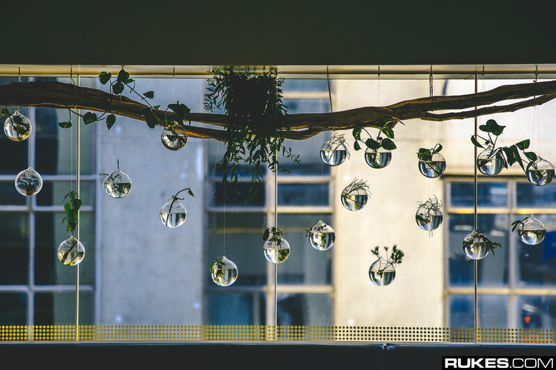 Hanging Glass Planters