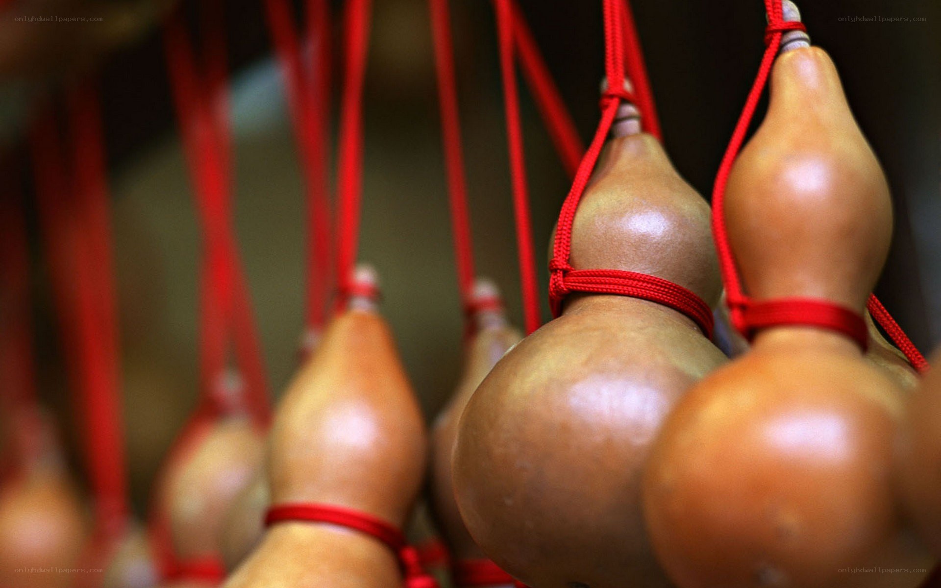 Hanging gourds with red strings