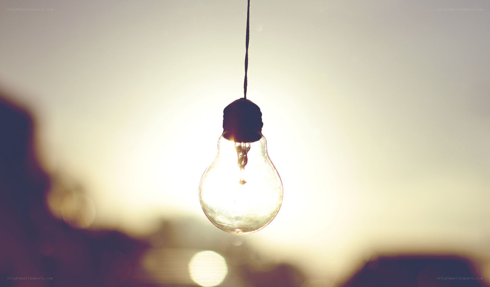 hanging light bulb at sunset