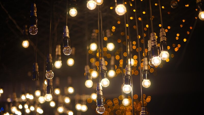 Hanging Light Bulbs — Black, Warm