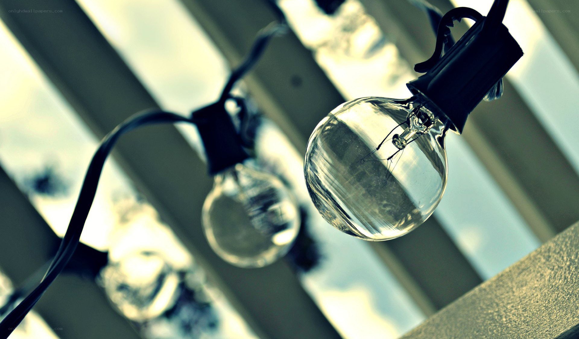 hanging light bulbs in daylight