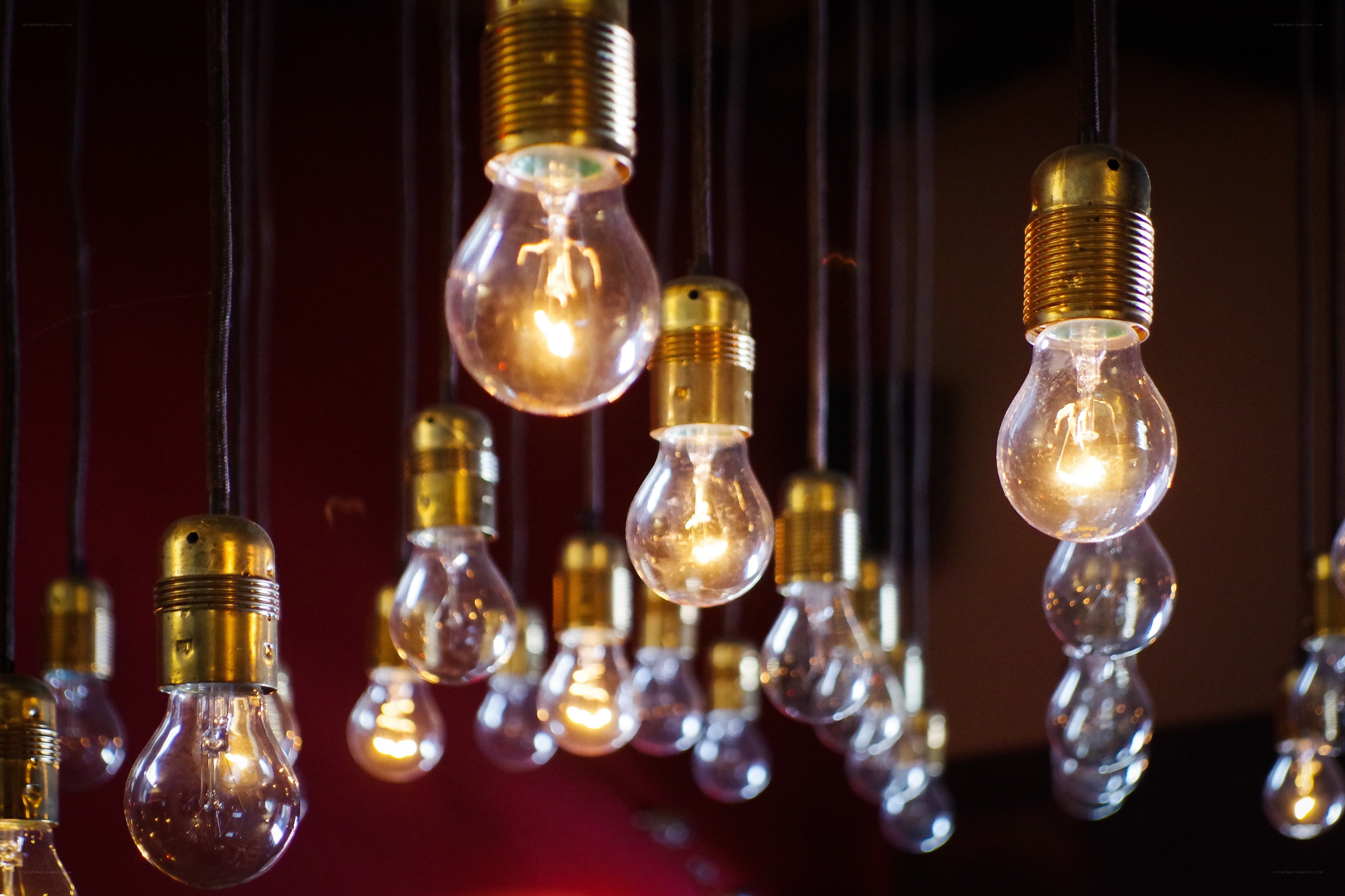Hanging light bulbs in warm glow