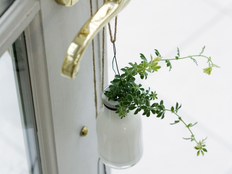 Hanging Plant in Glass Jar