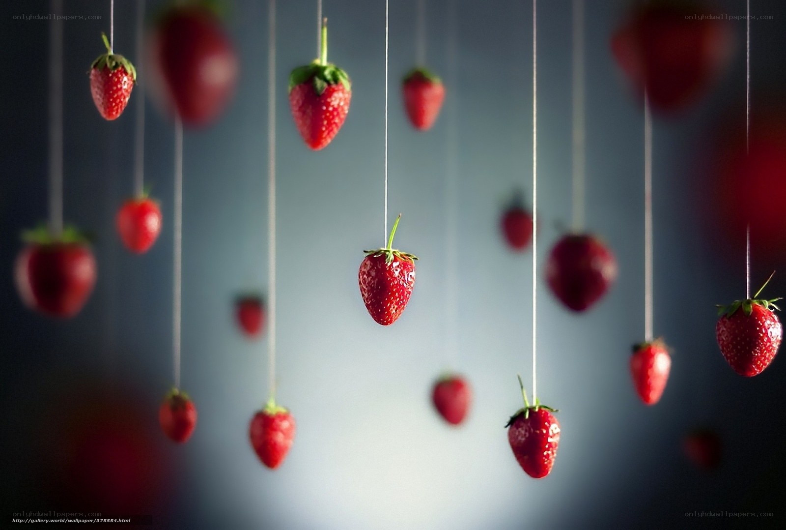 hanging strawberries