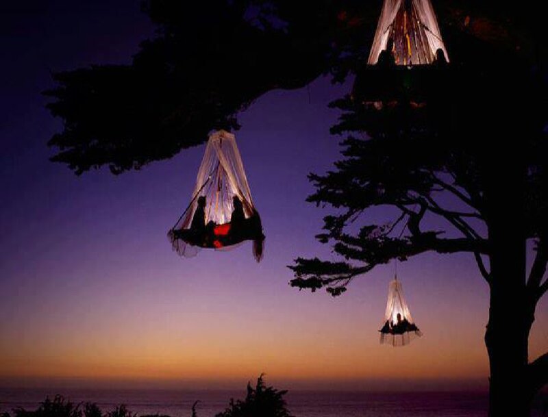 Hanging Tents in Trees