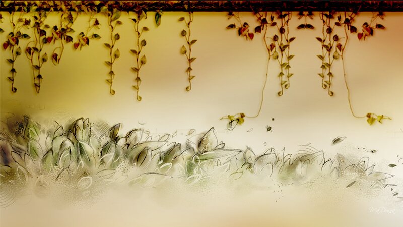 Hanging Vines and Foliage