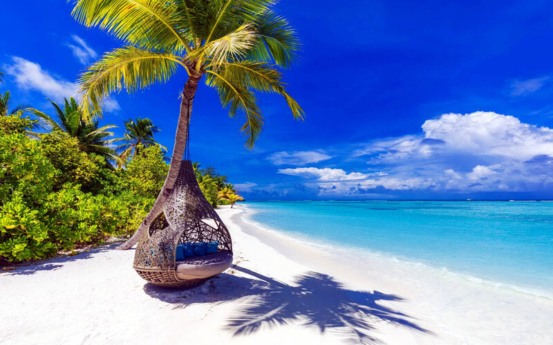 Hanging Wicker Chair on Beach