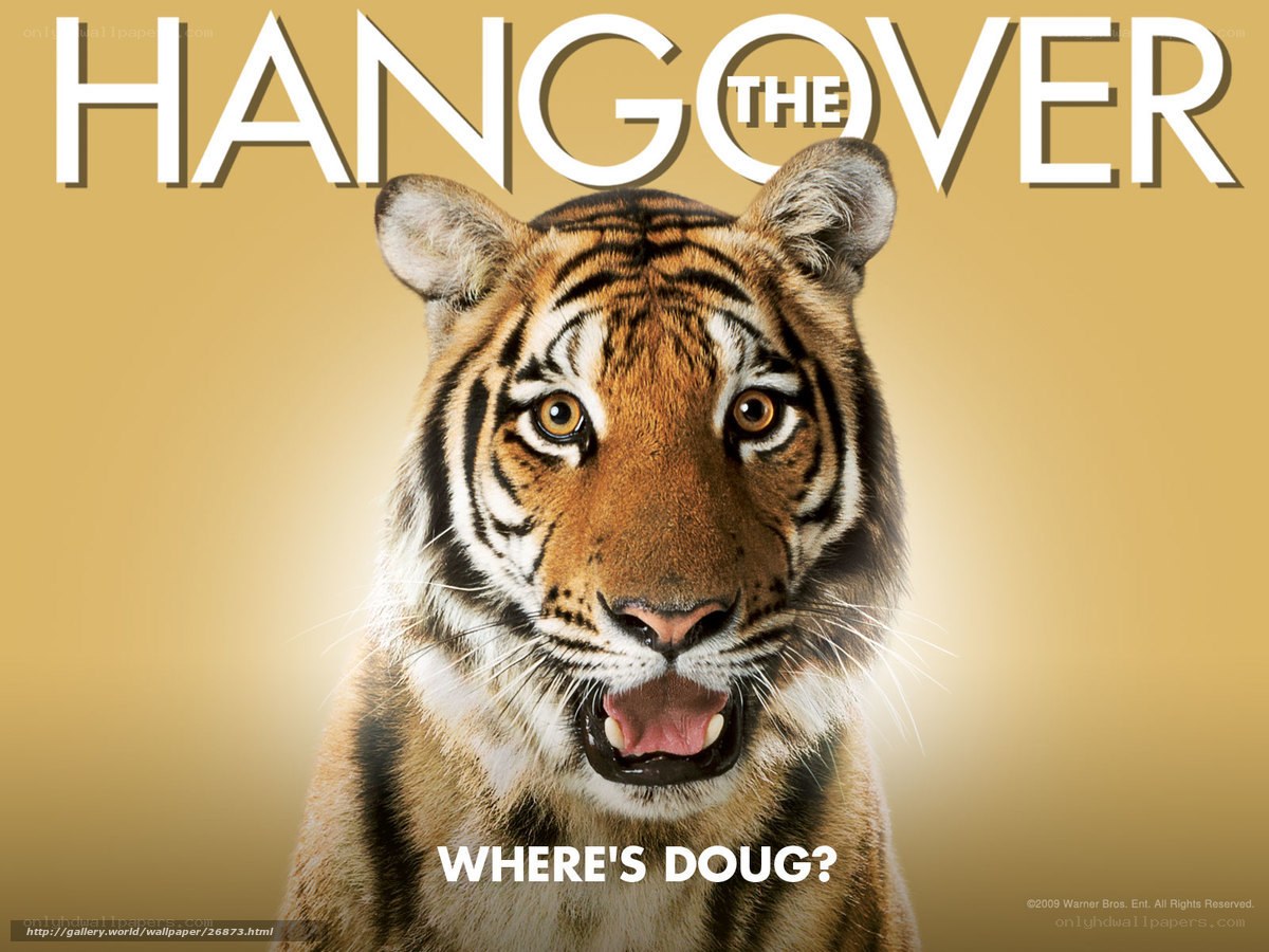 Hangover movie poster