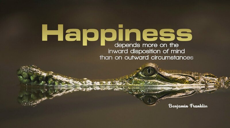 Happiness quote with crocodile