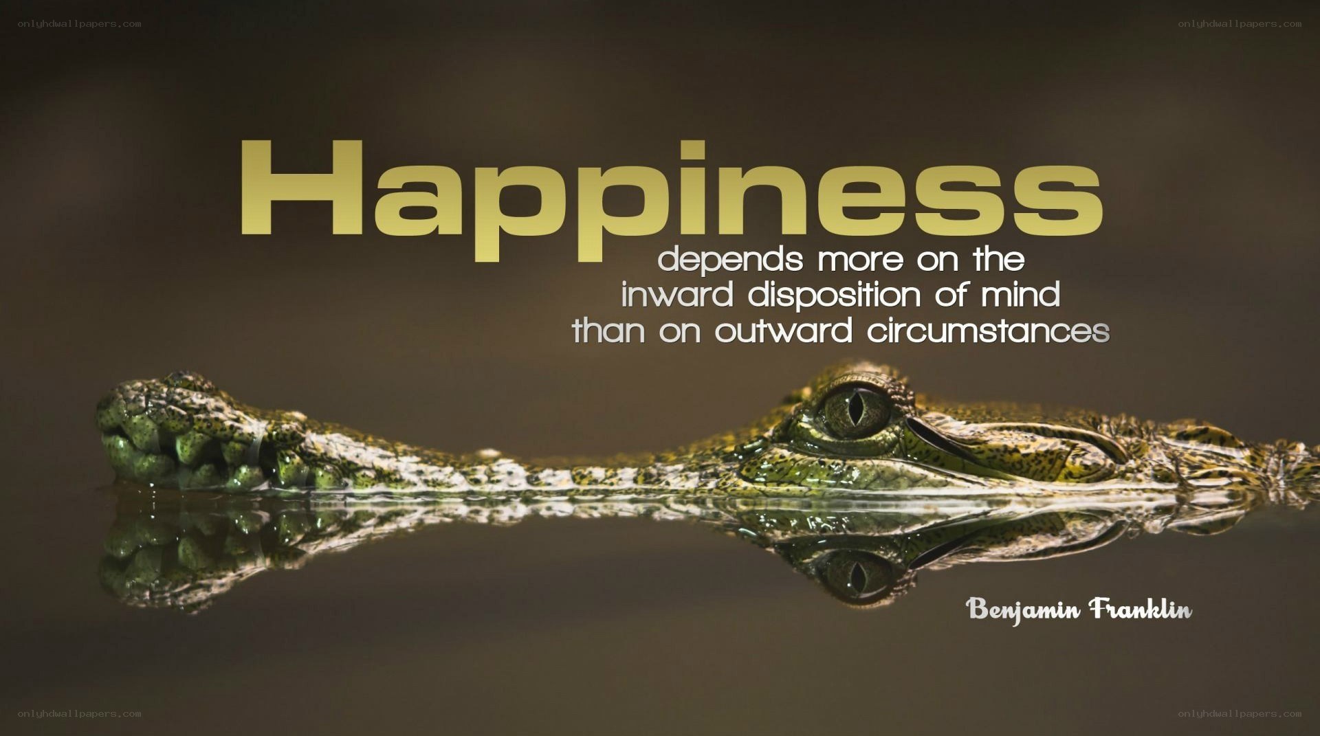 Happiness quote with crocodile