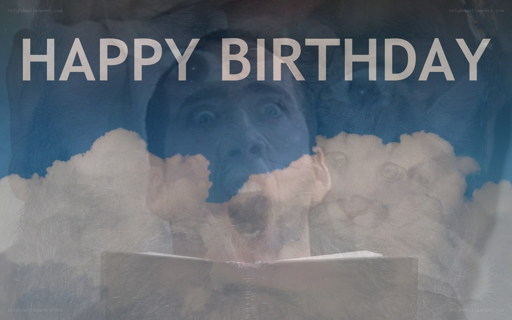 Happy Birthday with monkey