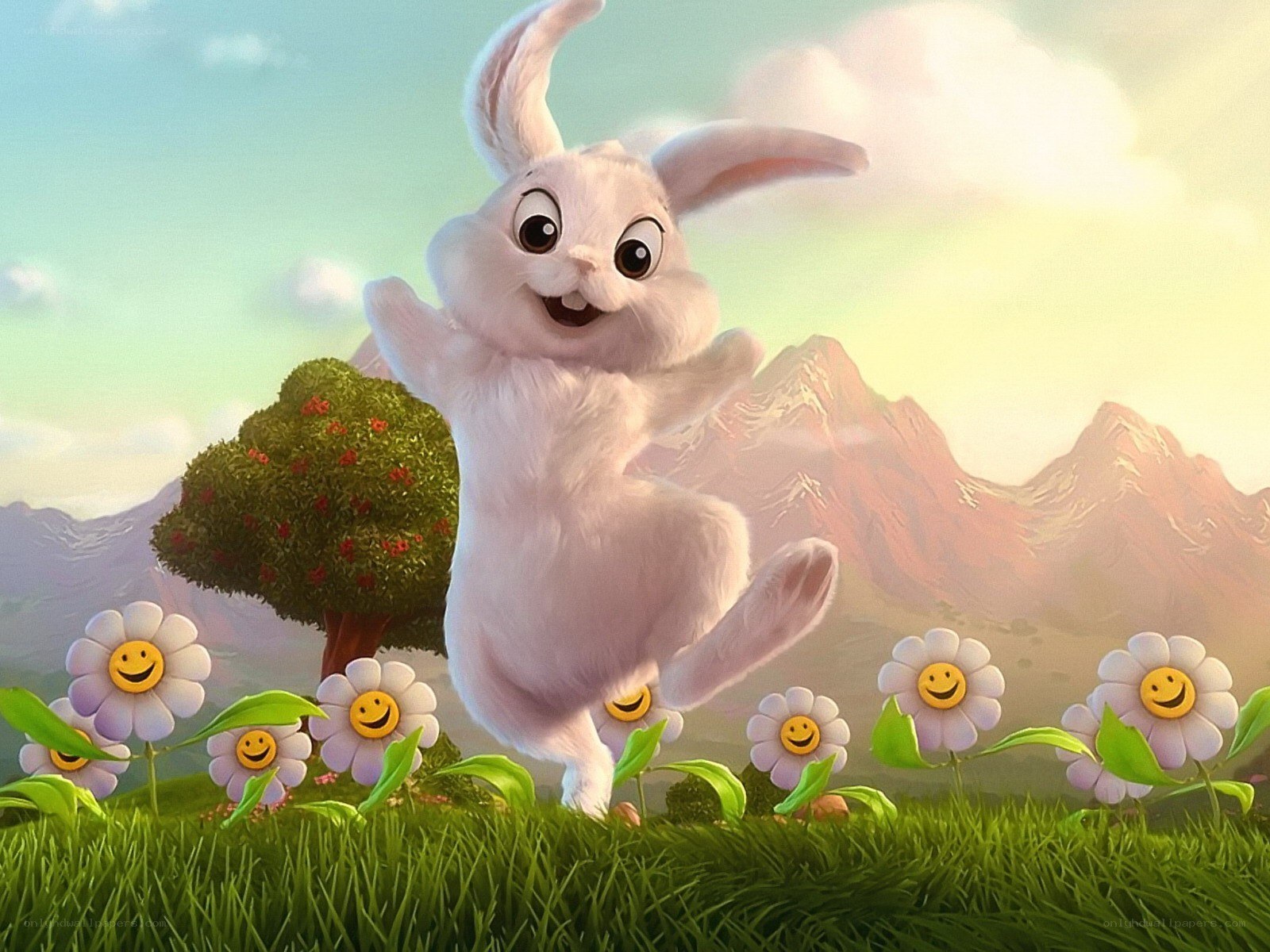 happy bunny in a field
