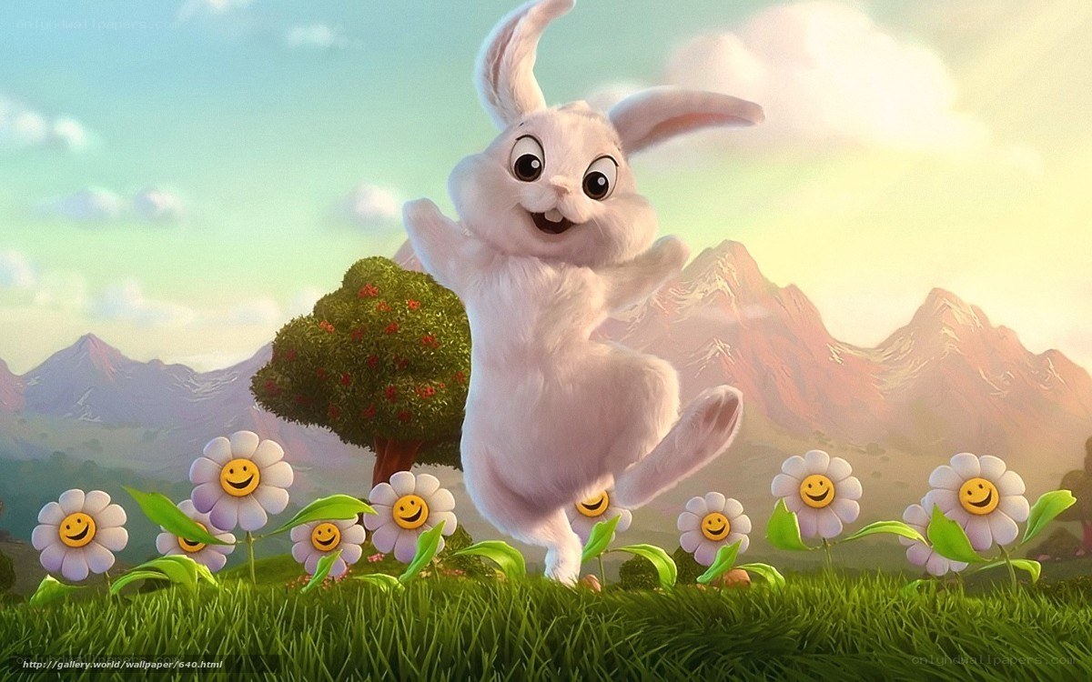 Happy bunny in a field