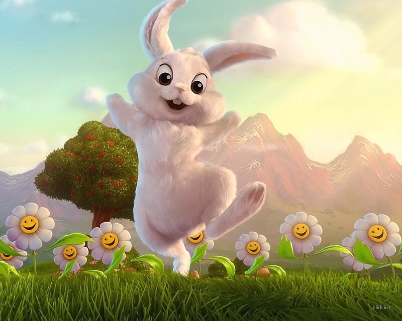 happy bunny in a meadow