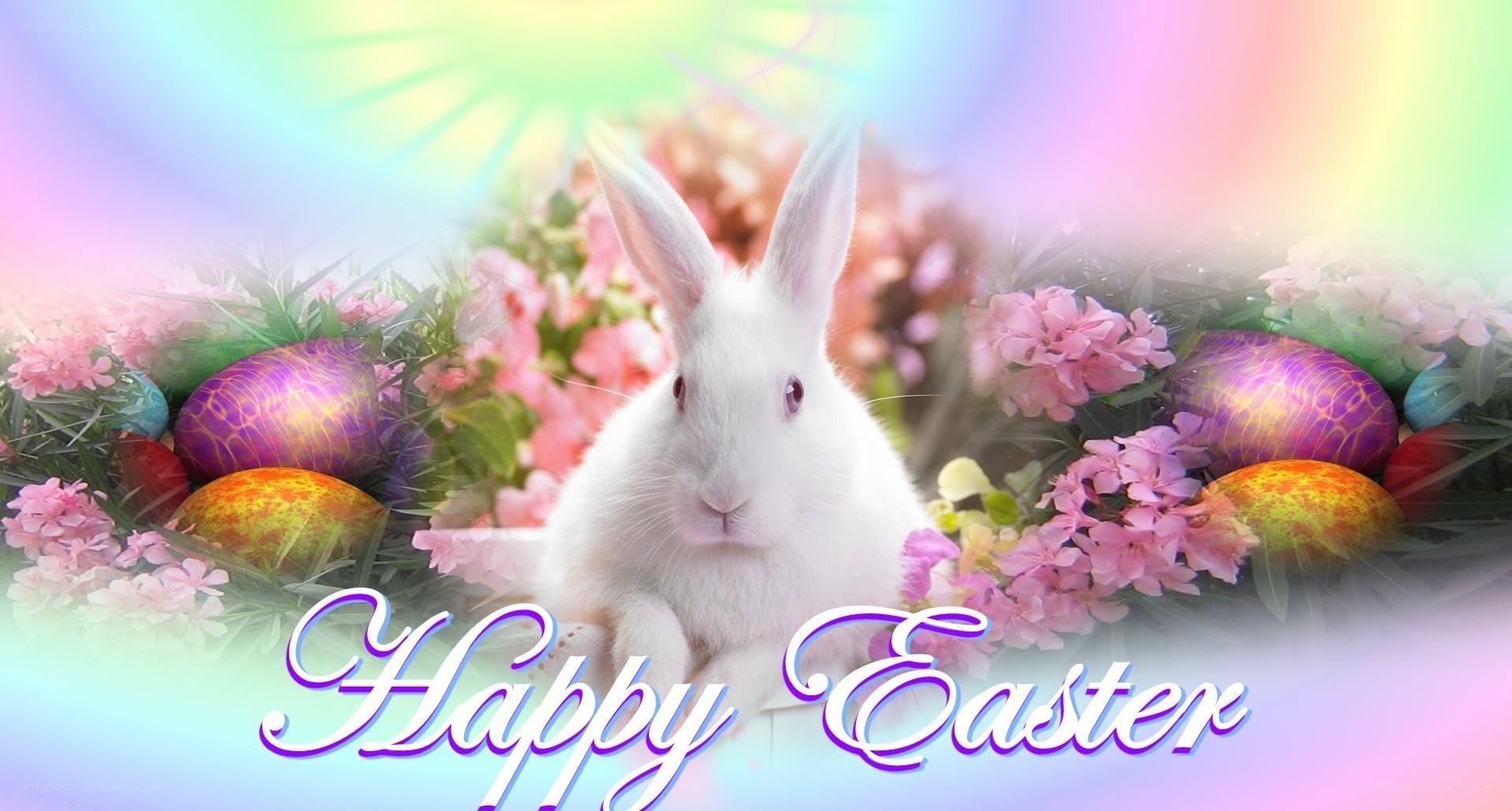 Happy Easter bunny