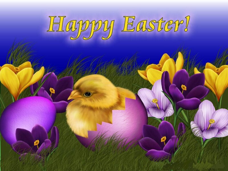 Happy Easter chick