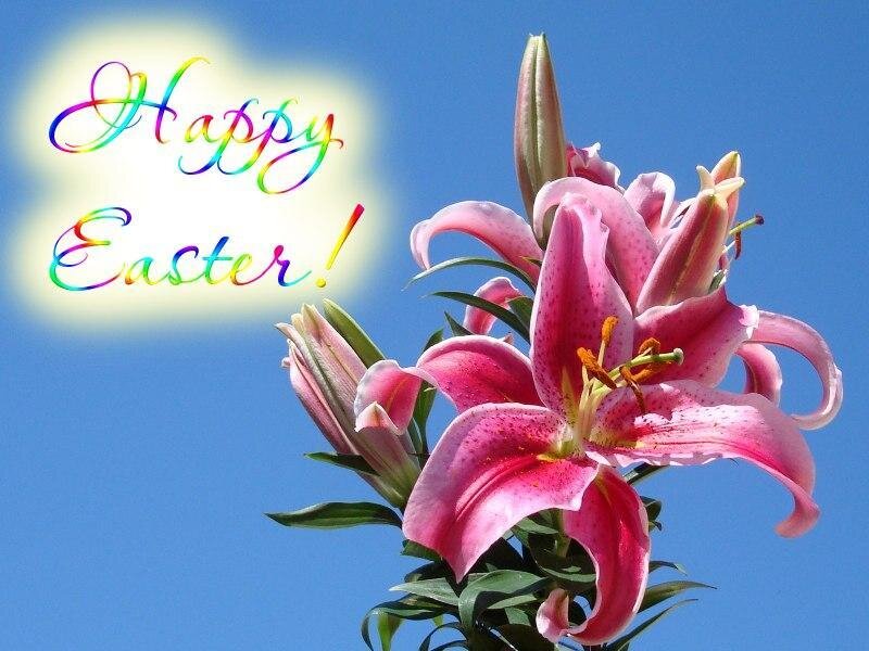 Happy Easter lilies