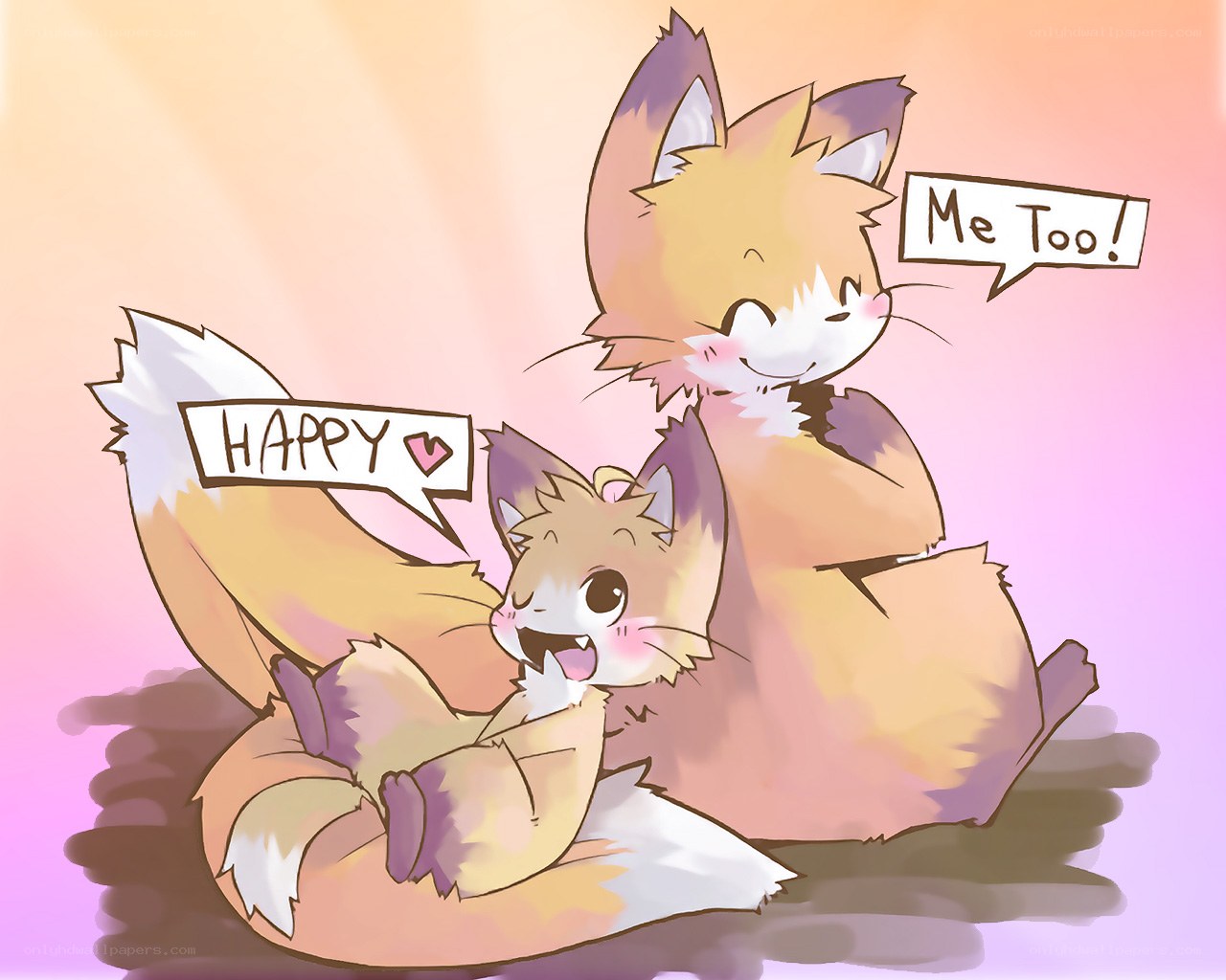 happy foxes together
