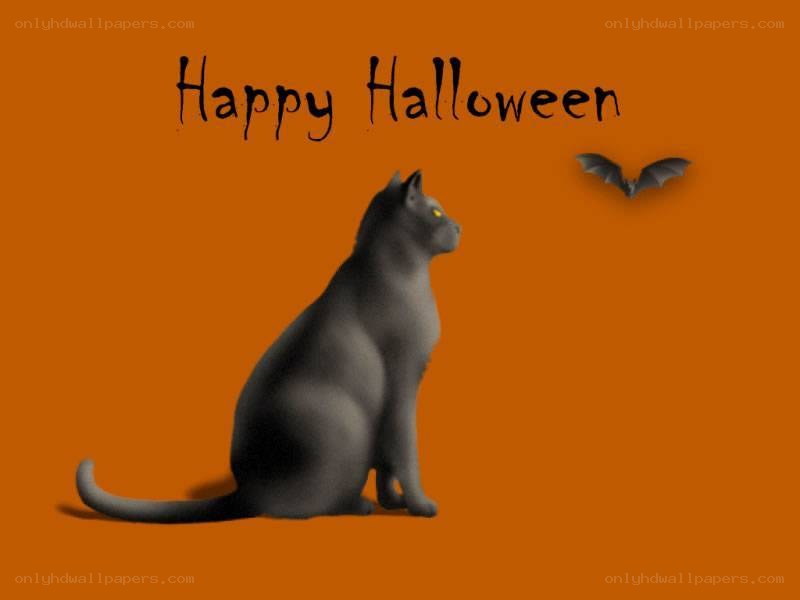 Happy Halloween cat and bat
