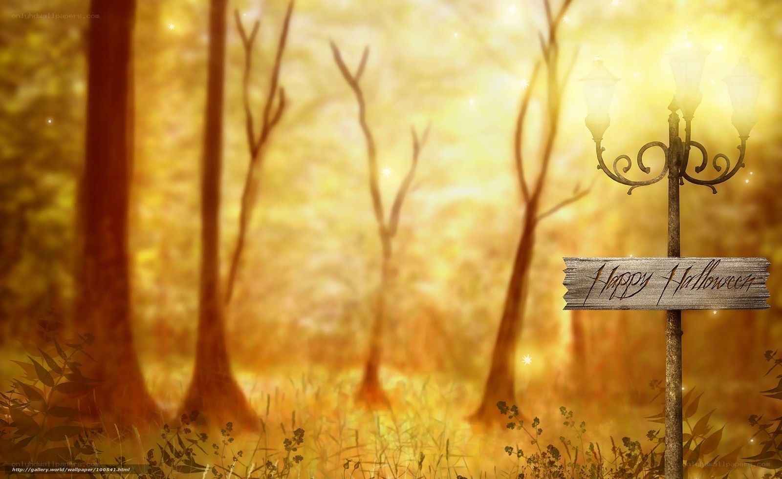 Happy Halloween forest scene