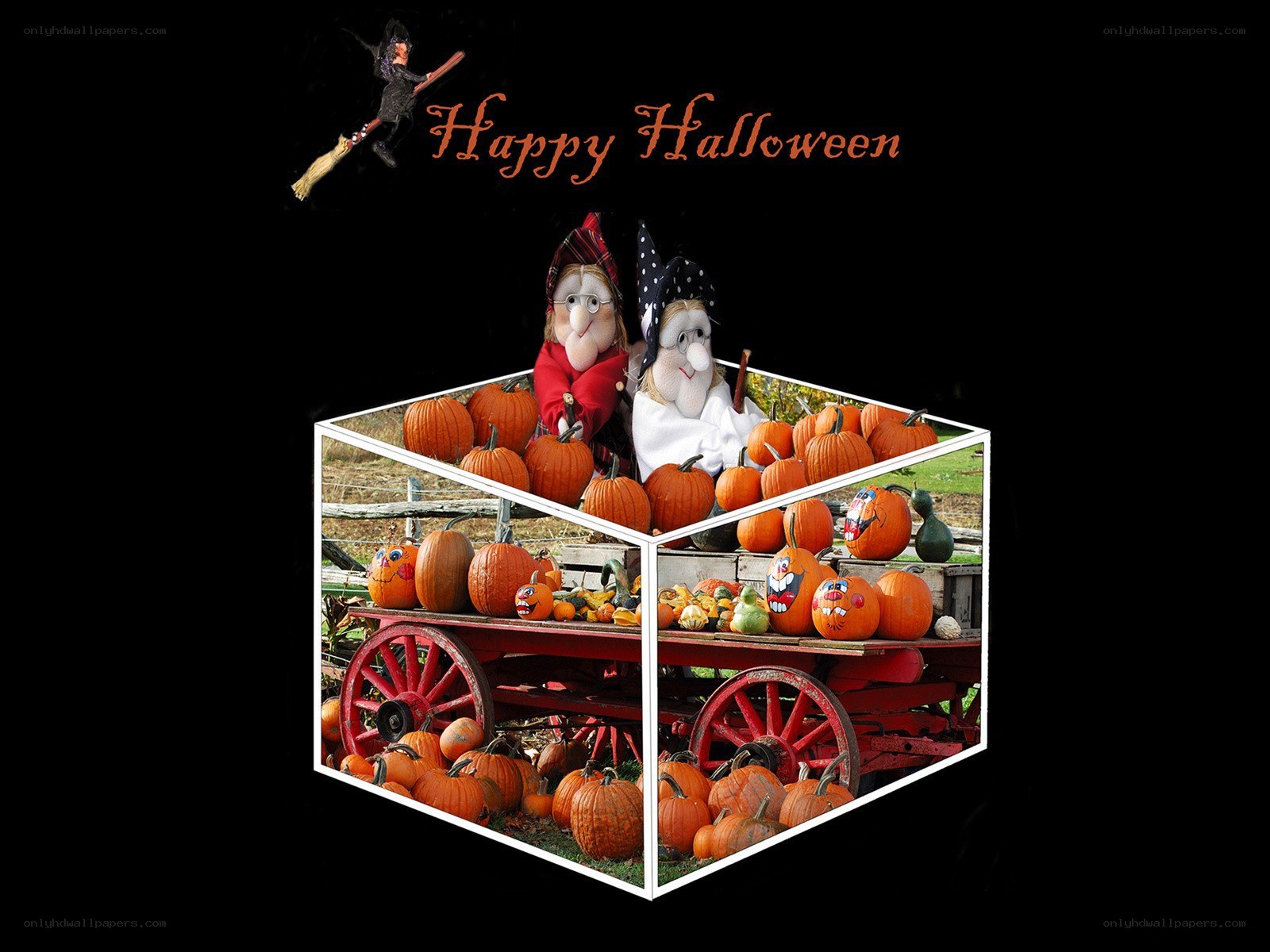 Happy Halloween Witches