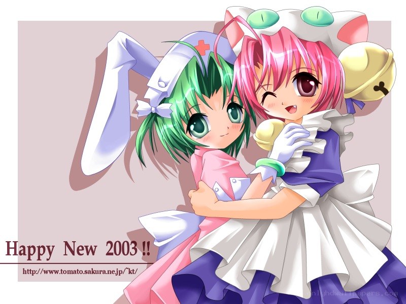 Happy New Year 2003 illustration