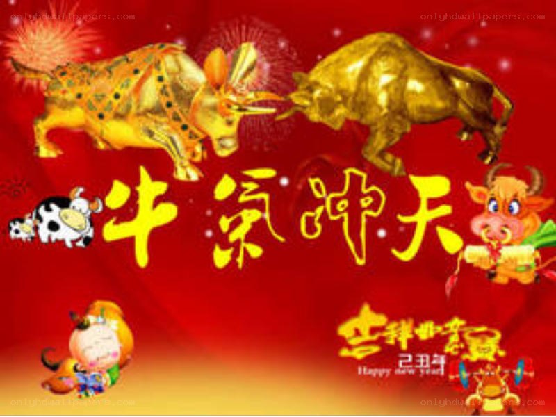 Happy New Year Bull
