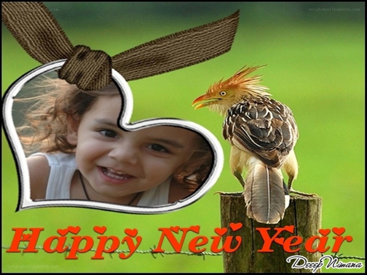 Happy New Year card