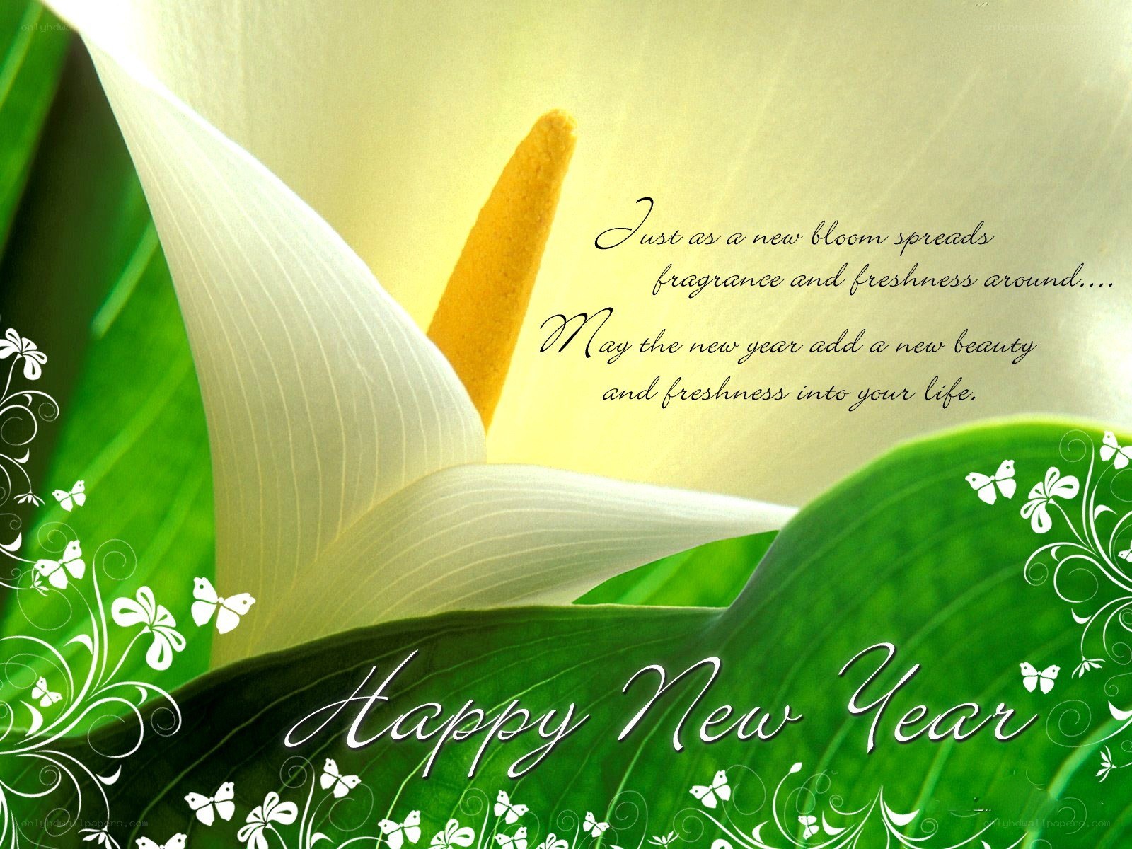 Happy New Year card