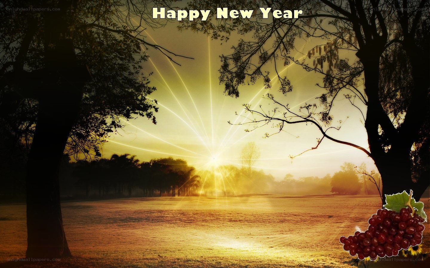 Happy New Year greeting