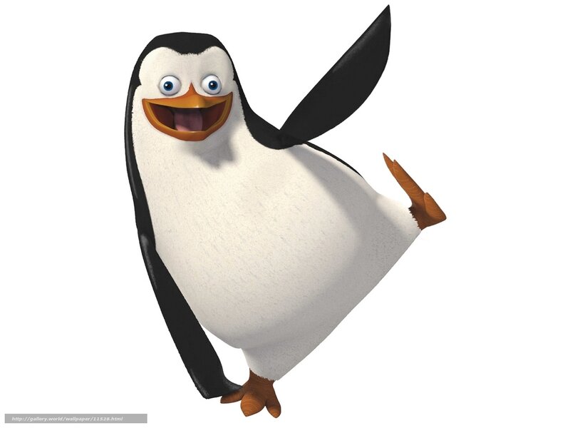 Happy penguin character
