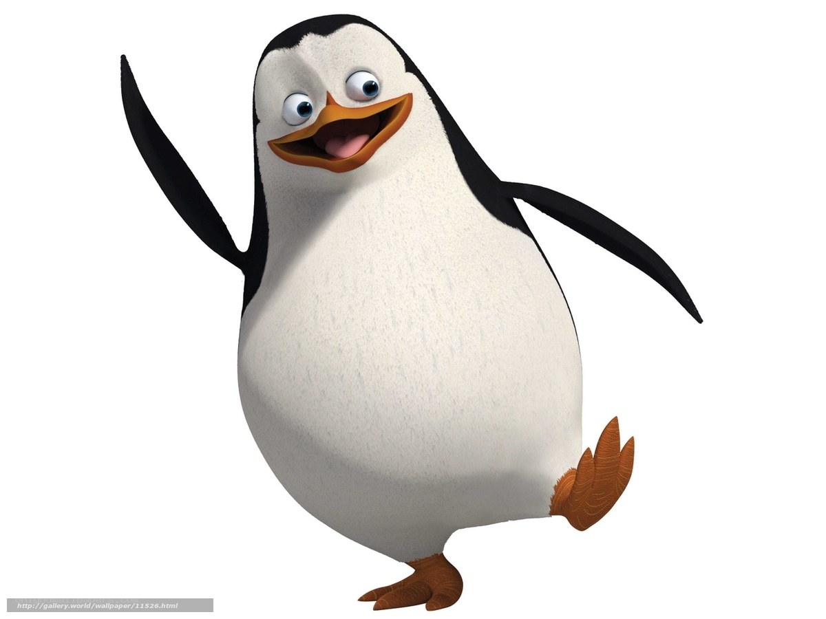 happy penguin character