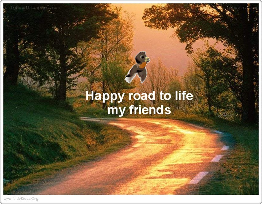 Happy road to life
