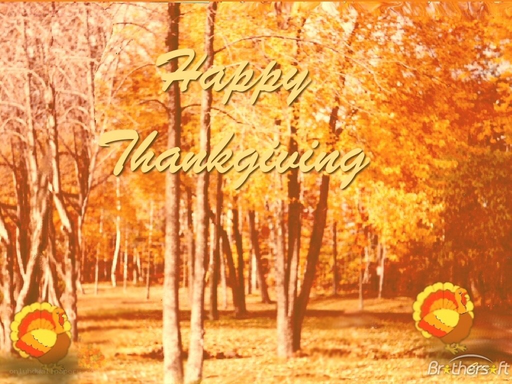 Happy Thanksgiving forest scene