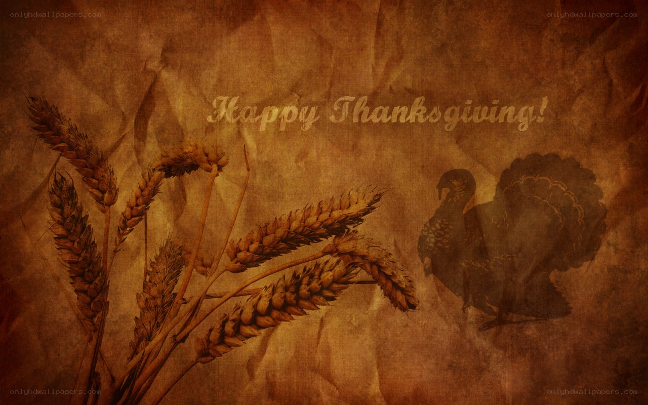 Happy Thanksgiving greeting