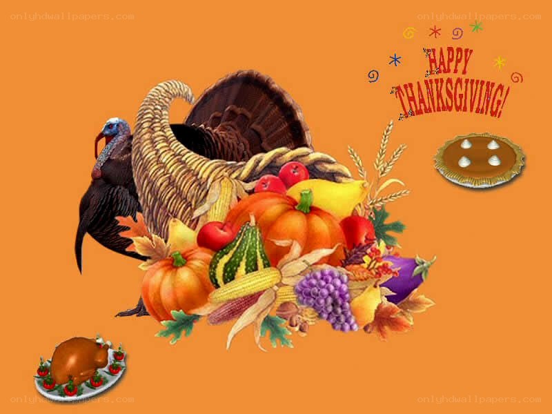 Happy Thanksgiving illustration