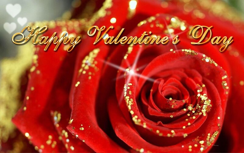 Happy Valentine's Day rose