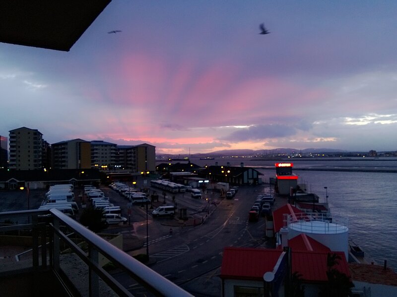 Harbor at Dusk — Purple, Calm
