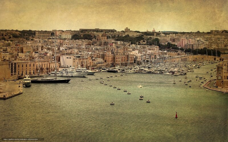 Harbor Cityscape — Brown