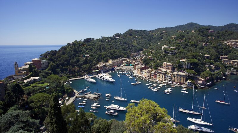 Harbor Town on Hillside — Blue, Serene
