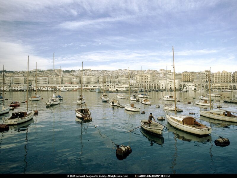 Harbor with boats and city